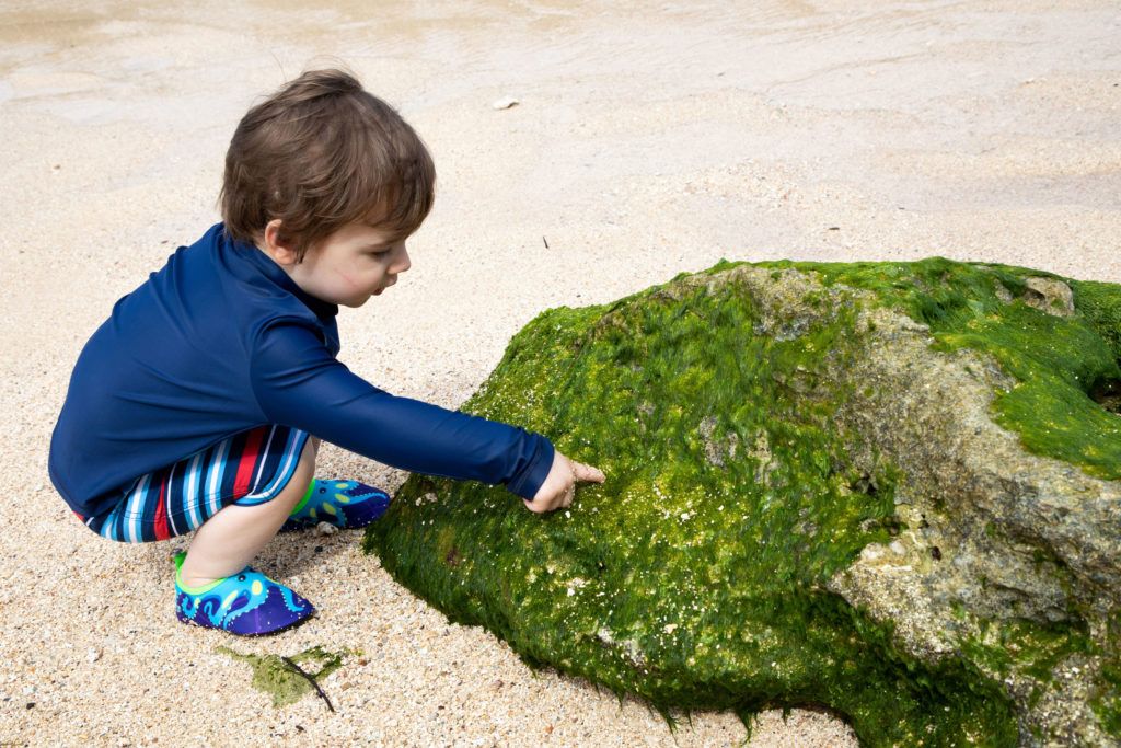 Traveling with grandchildren gives you opportunities to teach them, like AJ seeing a mossy rock for the first time.